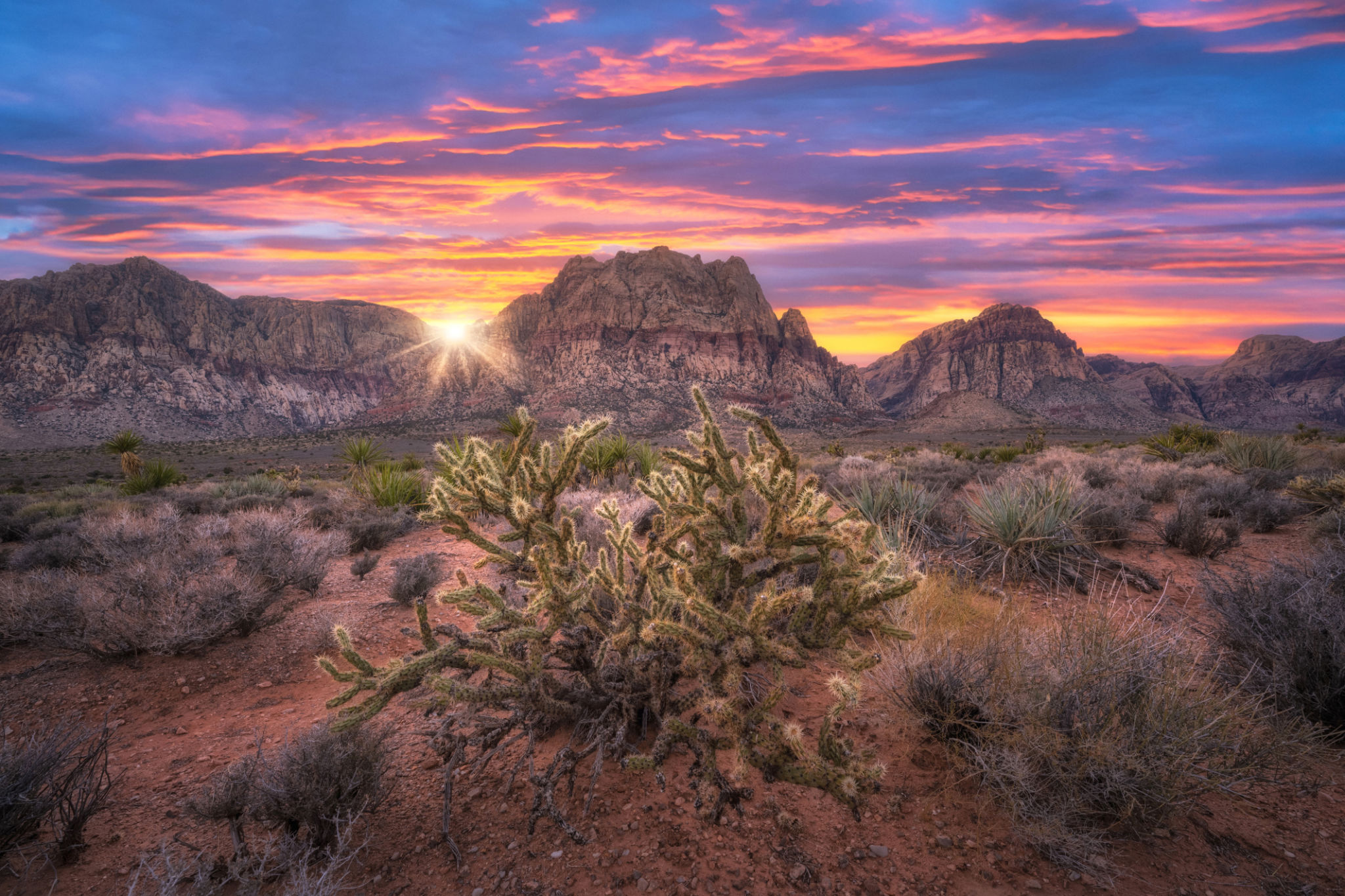 red rock canyon