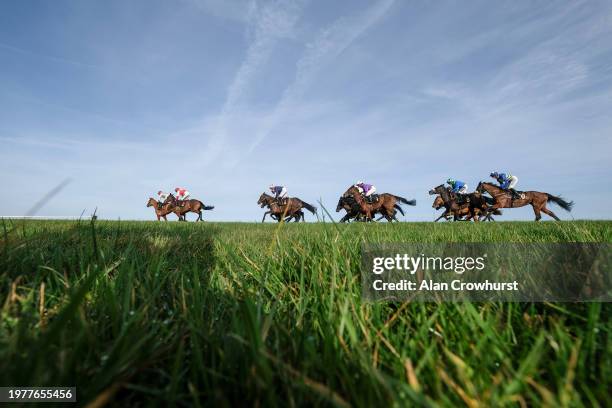 Harry Cobden riding Larchmont Lass sits at the rear before going on to win The EBF Mares' 'National Hunt' Novices' Hurdle at Wincanton Racecourse on...