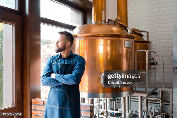 master brewer standing in micro brewery - vat stock pictures, royalty-free photos & images