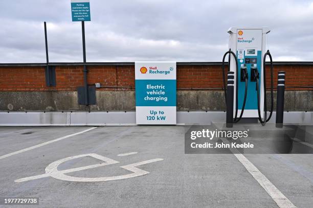 Waitrose Shell Recharge 27,489 Salt Water Shell Stock Photos, High-Res Pictures, and Images ...
