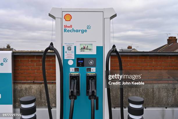 Waitrose Shell Recharge 27,489 Salt Water Shell Stock Photos, High-Res Pictures, and Images ...