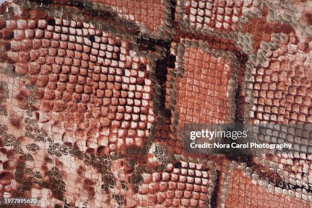 python snake skin leather texture - rough scale python fotografías e imágenes de stock