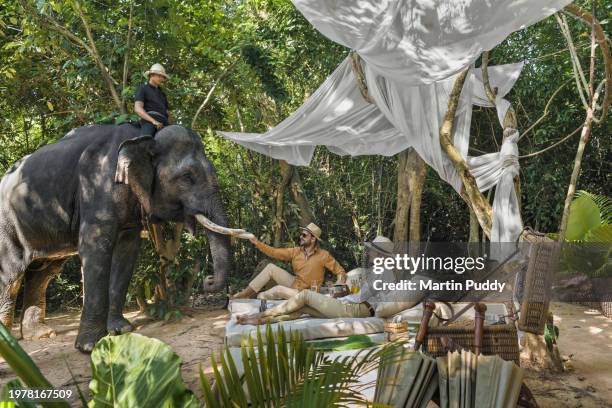 young couple feeding elephant while enjoying colonial styled picnic excursion provided by eco friendly luxury glamping resort, in forested area nearby angkor wat - cambodia stock pictures, royalty-free photos & images