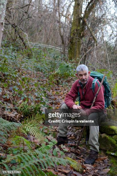 mature man with gray hair sitting on a rock during a forest hike - distinguished gentlemen with white hair stock pictures, royalty-free photos & images