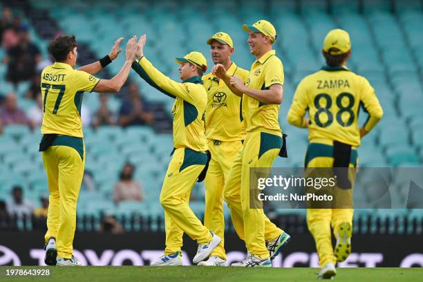 Sean Abbott of Australia is celebrating after taking the wicket of Kjorn Ottley of West Indies during game two of the Men's One Day International...