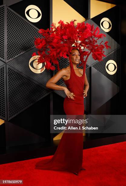 Los Angeles, CA Dawn Richard arrives on the Red Carpet at the Crypto.com Arena in Los Angeles, CA, Sunday, Feb. 4, 2024.