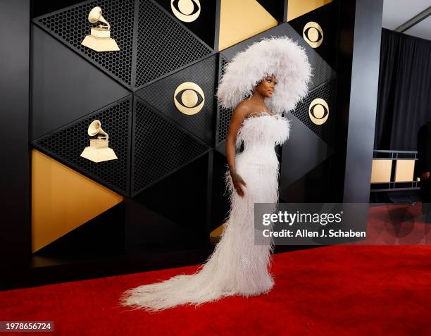 Los Angeles, CA Summer Walker arrives on the Red Carpet at the Crypto.com Arena in Los Angeles, CA, Sunday, Feb. 4, 2024.