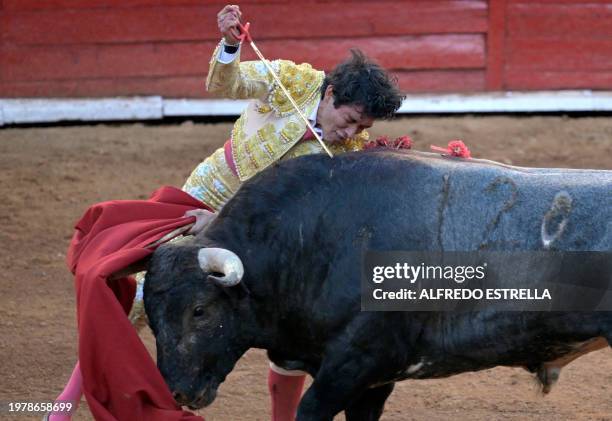 Mexican bullfighter Isaac Fonseca performs during a bullfight event at the Monumental Plaza de Toros Mexico in Mexico City on February 4, 2024....