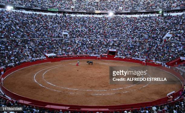 French bullfighter Sebastian Castella performs during a bullfight event at the Monumental Plaza de Toros Mexico in Mexico City on February 4, 2024....