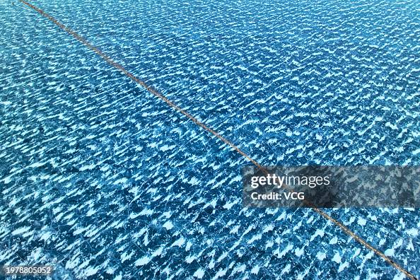 Sheep Led To Island For Winter In Lhoka