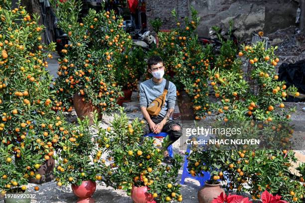 Man selling kumquat trees waits for customers on a street in Hanoi on February 5 as Vietnamese prepare to celebrate their traditional Tet or Lunar...