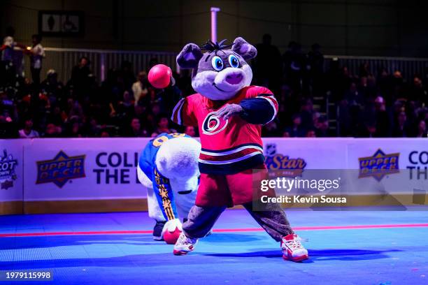 Carolina Hurricanes mascot Stormy takes part in a dodgeball game during the 2024 Hyundai NHL All-Star Fan Fair at the Metro Toronto Convention Centre...