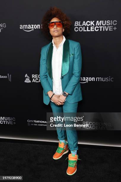 Reesa Renee attends the Recording Academy Honors presented by The Black Music Collective during the 66th GRAMMY Awards on February 01, 2024 in Los...
