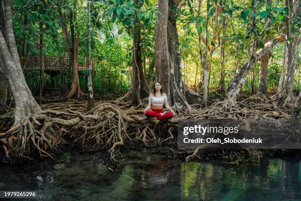 serene woman doing yoga in mangrove forest - country origin training session stock pictures, royalty-free photos & images