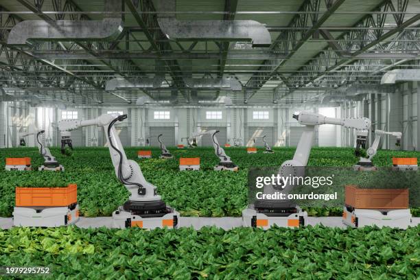 automated agricultural technology with robotic arms harvesting vegetables in greenhouse - hydroponics stock pictures, royalty-free photos & images