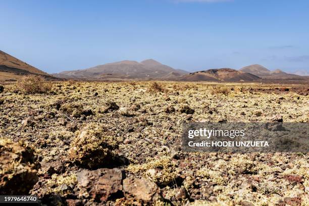 volcanic landscape in lanzarote, canary islands, spain - cave fire stock pictures, royalty-free photos & images
