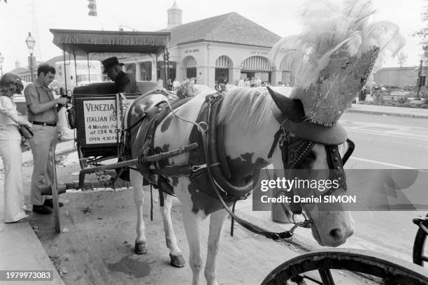 Calèche tirée par un cheval à La Nouvelle-Orléans, en avril 1976.