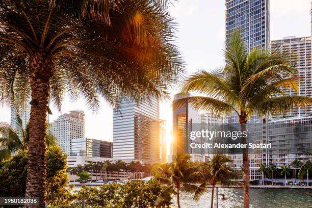 sun shining through skyscrapers in miami downtown, florida, usa - brickell key miami stockfoto's en -beelden