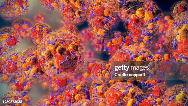 brown fat cell. - adipose tissue stock pictures, royalty-free photos & images