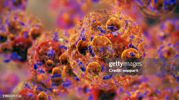 brown fat cell. - cholesterol stockfoto's en -beelden