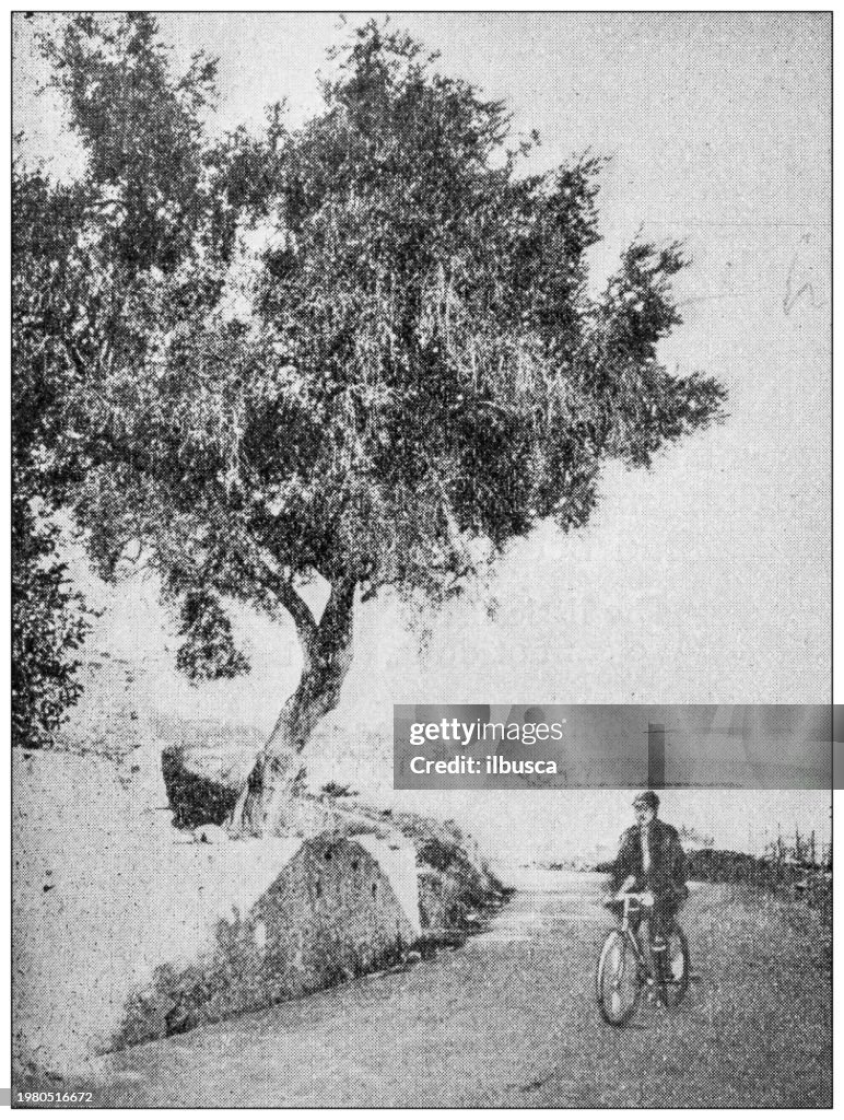 Sport and pastimes in 1897: Menton road