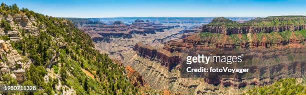grand canyon panoramic vista from north rim bright angel point - north rim stock pictures, royalty-free photos & images