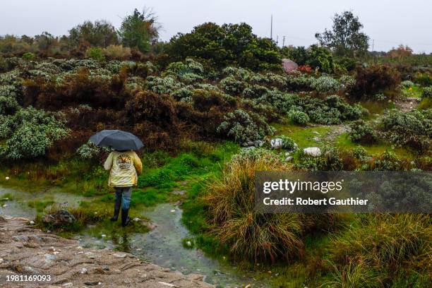 Duarte, CA, Monday, February 5, 2024 - Eddie "Nugget" Haren walks to his encampment located on the San Gabriel River where heavy rains have...