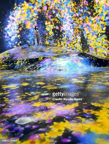 Photo taken on Feb. 5 shows the "Universe of Water Particles on a Rock where People Gather" exhibition at the digital art museum Epson teamLab...