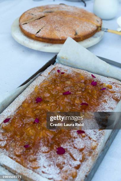 kumquat tart - flan tart stockfoto's en -beelden