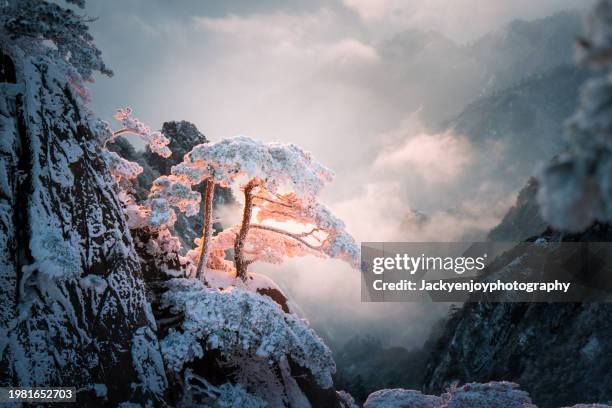 beautiful scene of huangshan (yellow mountain) in anhui province, china, during dawn in the winter - huangshan mountain range anhui province china stock pictures, royalty-free photos & images