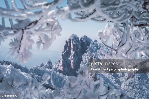 beautiful scene of huangshan (yellow mountain) in anhui province, china, during dawn in the winter - huangshan mountain range anhui province china stock pictures, royalty-free photos & images