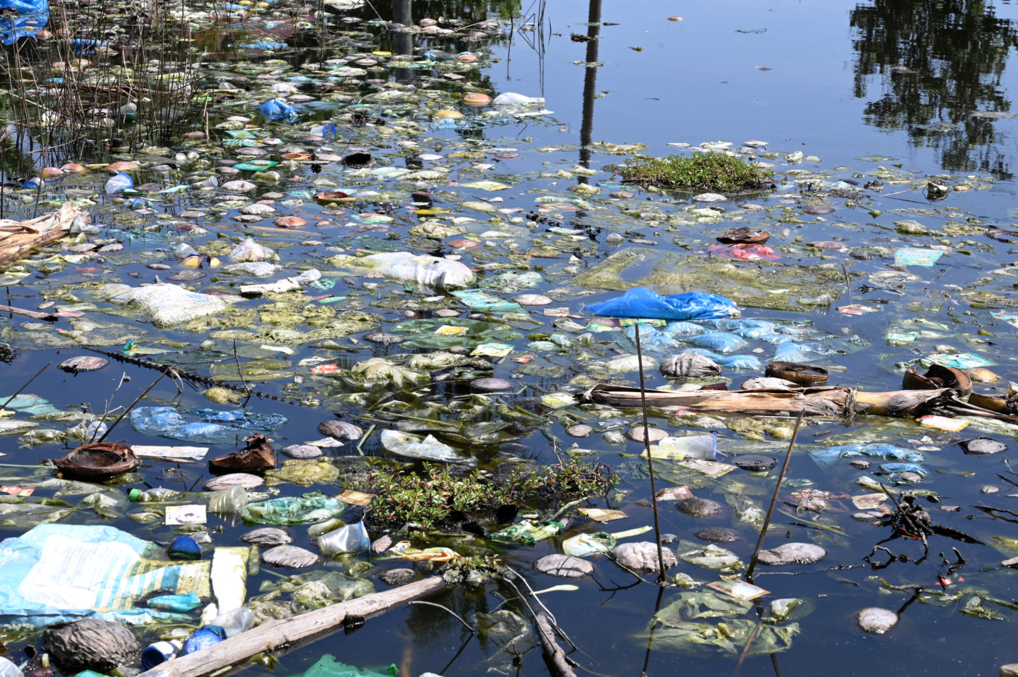 Water Pollution Water Pollution