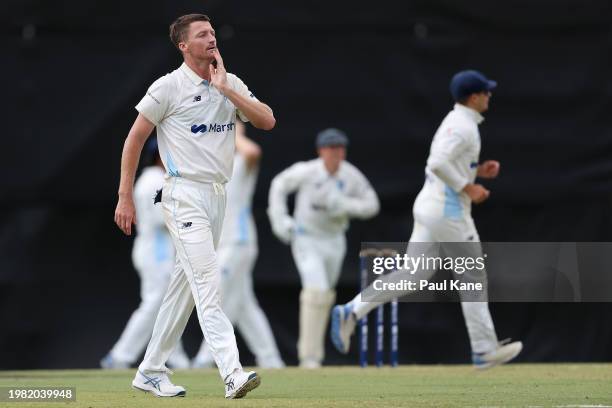 Jackson Bird of New South Wales looks on during the Sheffield Shield match between Western Australia and New South Wales at WACA, on February 03 in...