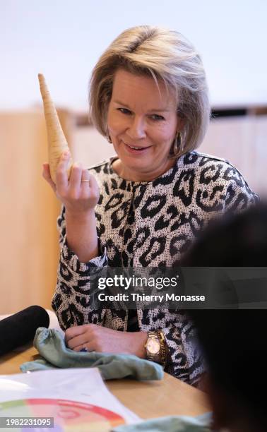 Queen Mathilde Legs 36,695 Queen Mathilde Of Belgium Photos Stock Photos, High-Res Pictures ...