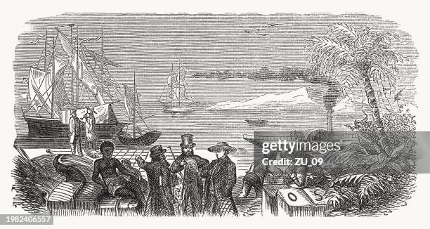 stockillustraties, clipart, cartoons en iconen met shipping of goods from the colonies, wood engraving, published 1869 - kolonialisme