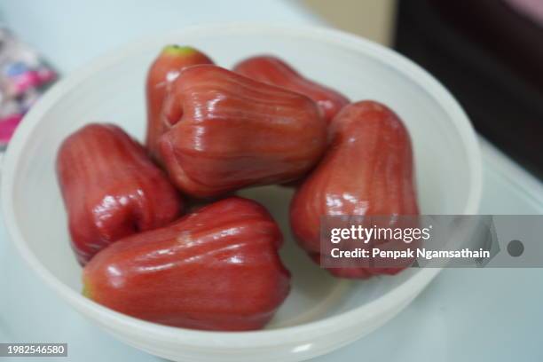 rose apple - water apples stock pictures, royalty-free photos & images