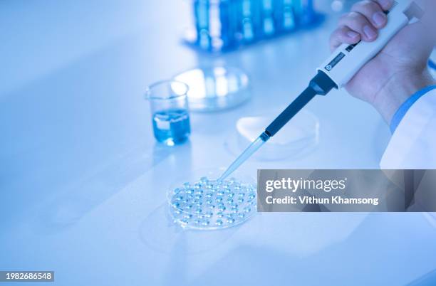 scientist pipetting sample into tray for dna testing in laboratory. - egg freezing stock pictures, royalty-free photos & images