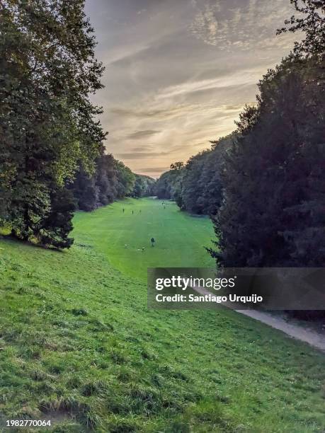 Bois De La Cambre Photos and Premium High Res Pictures Getty Images