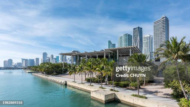 bright miami - miami stockfoto's en -beelden