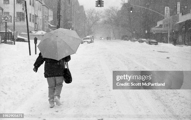 Looking southwest, a rear view of a pedestrian, with an umbrella, walking in snow on 63rd Drive during the President's Day blizzard, in Queens' Rego...