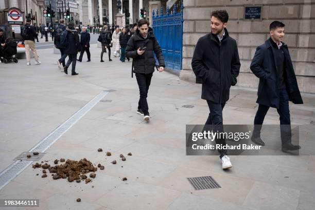 Members of the public walk around manure dropped by a City Police horse in the City of London, the capital's financial district, on 6th February...