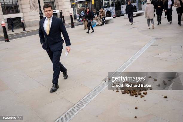 Members of the public walk around manure dropped by a City Police horse in the City of London, the capital's financial district, on 6th February...