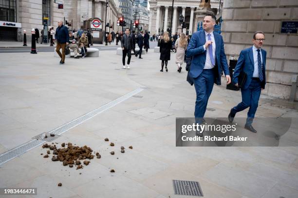 Members of the public walk around manure dropped by a City Police horse in the City of London, the capital's financial district, on 6th February...