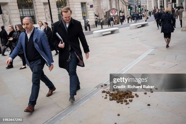 Members of the public walk around manure dropped by a City Police horse in the City of London, the capital's financial district, on 6th February...