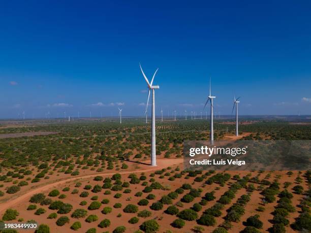 drone view of wind turbine farm, rio grande do norte, brazil - rio grande do norte imagens e fotografias de stock