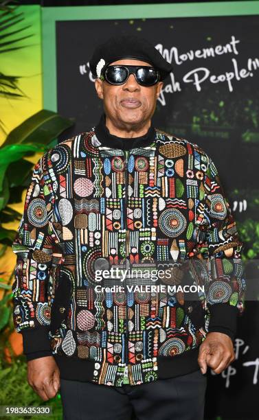 Singer-songwriter Stevie Wonder arrives for the premiere of "Bob Marley: One Love" at the Regency Village Theater in Los Angeles, California on...