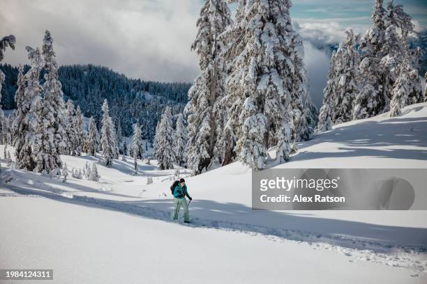 a backcountry skier with a dramatic view behind them near squamish, bc - nordic skiing event stock pictures, royalty-free photos & images
