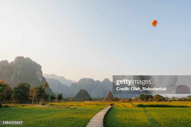 hot air balloon above rice field in southeast asia - vang vieng stockfoto's en -beelden