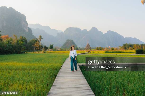 elegant woman in white shirt and straw hat walking on rice paddy on the background of hot air balloons - solo travel stock pictures, royalty-free photos & images