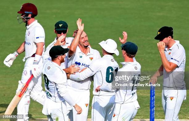 Gabe Bell of Queensland celebrates with team mates after taking the wicket of Jimmy Peirson of Queensland during the Sheffield Shield match between...
